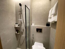 Mount Elizabeth Link (D9), Condominium #497013731